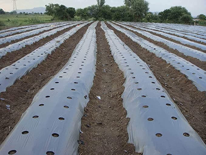 Biodegradable Mulching Paper